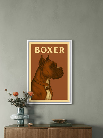 Boxer