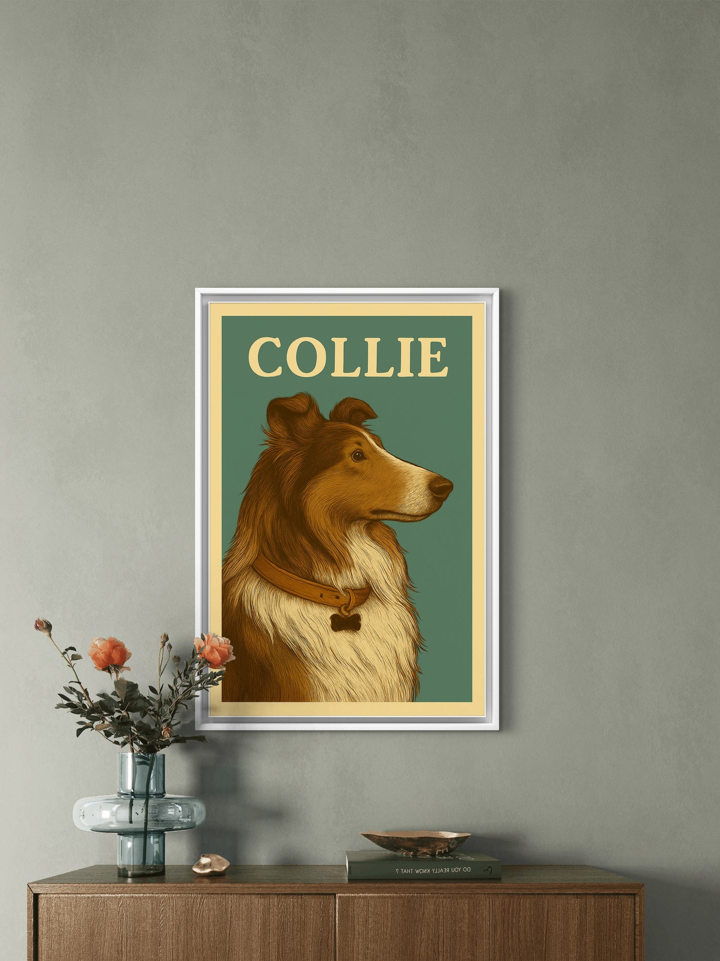 Collie