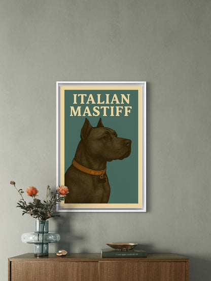 Italian Mastiff