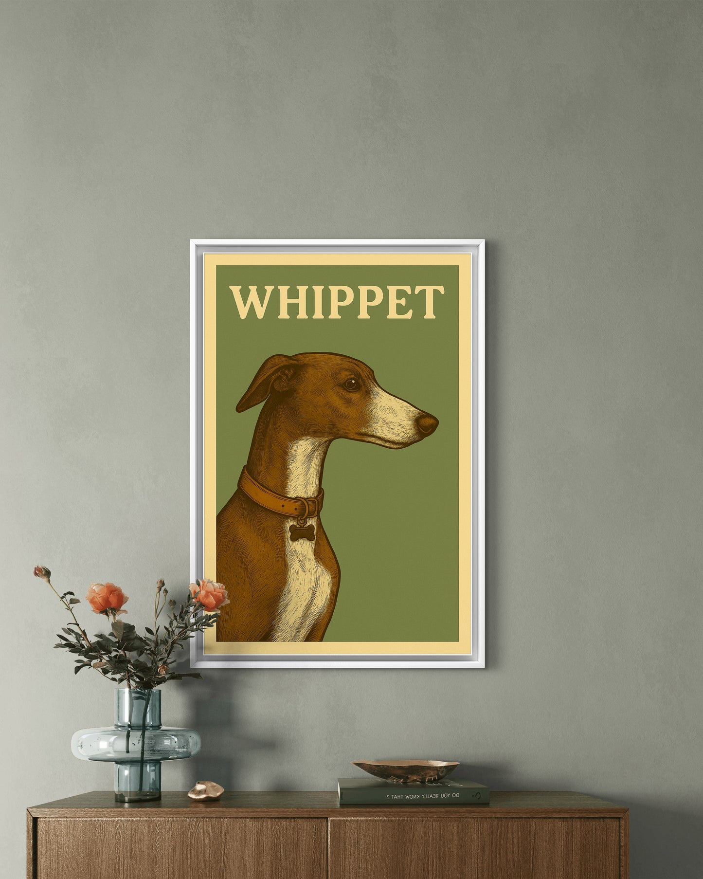 Whippet
