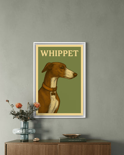 Whippet